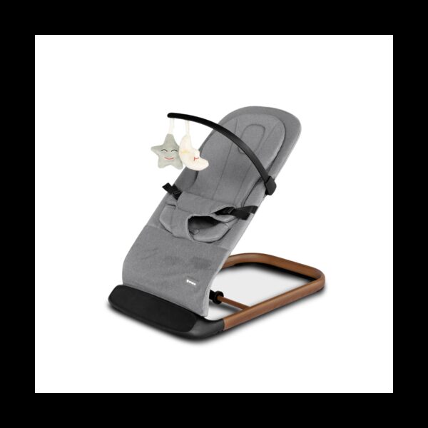 Amana FloraHop Premium Bouncer - Pebble Grey