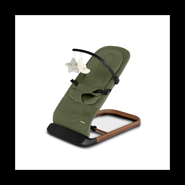 Amana FloraHop Premium Bouncer - Sage Green