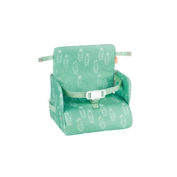 Babymoov Travel Booster Seat - Green