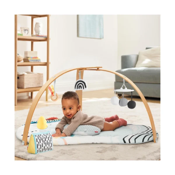 Skip Hop Discoverosity Play Gym