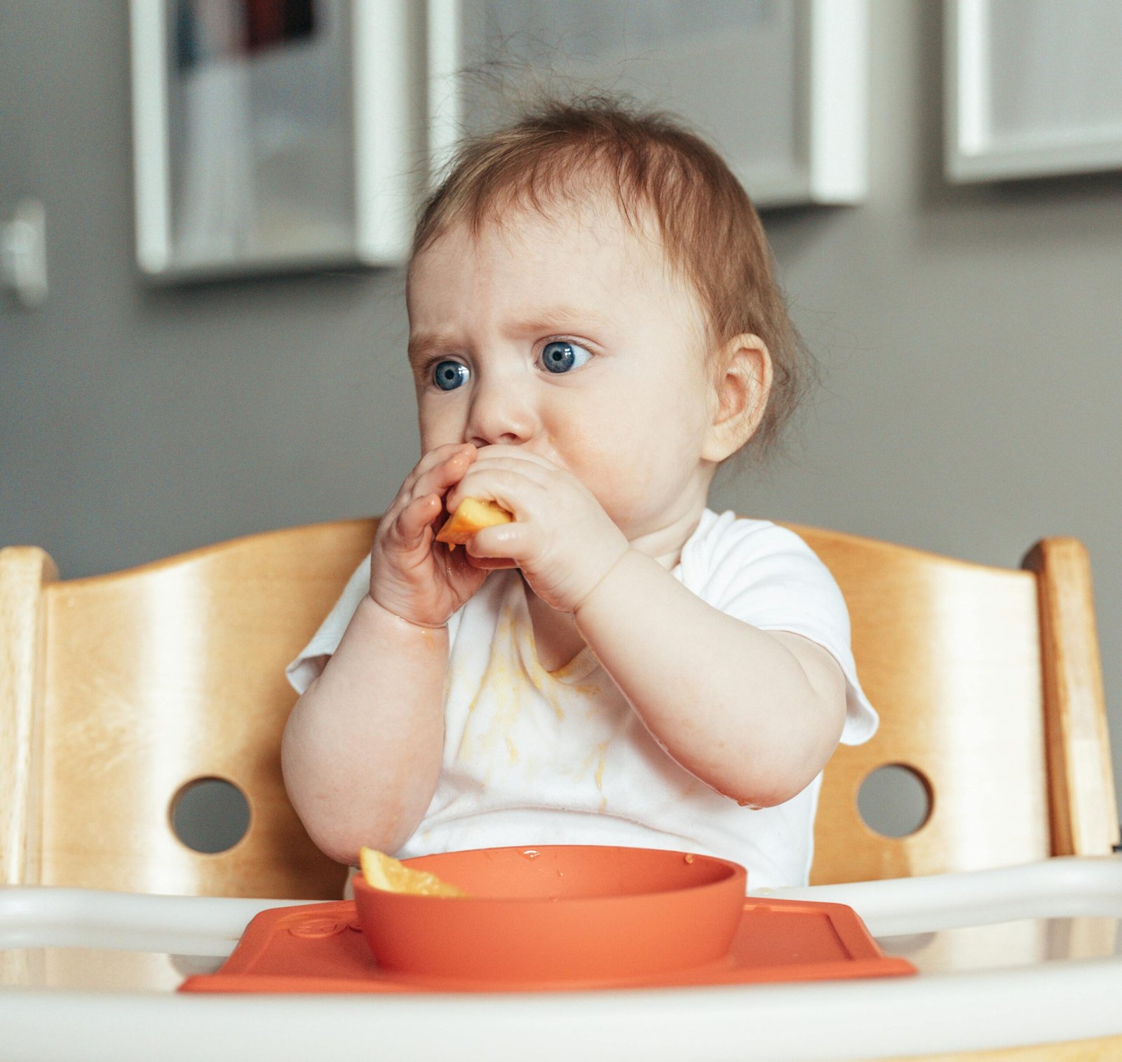 Introducing Solid Foods: A baby sitting in a high chair, holding and tasting a slice of orange, with a bib and a plate in front of them.