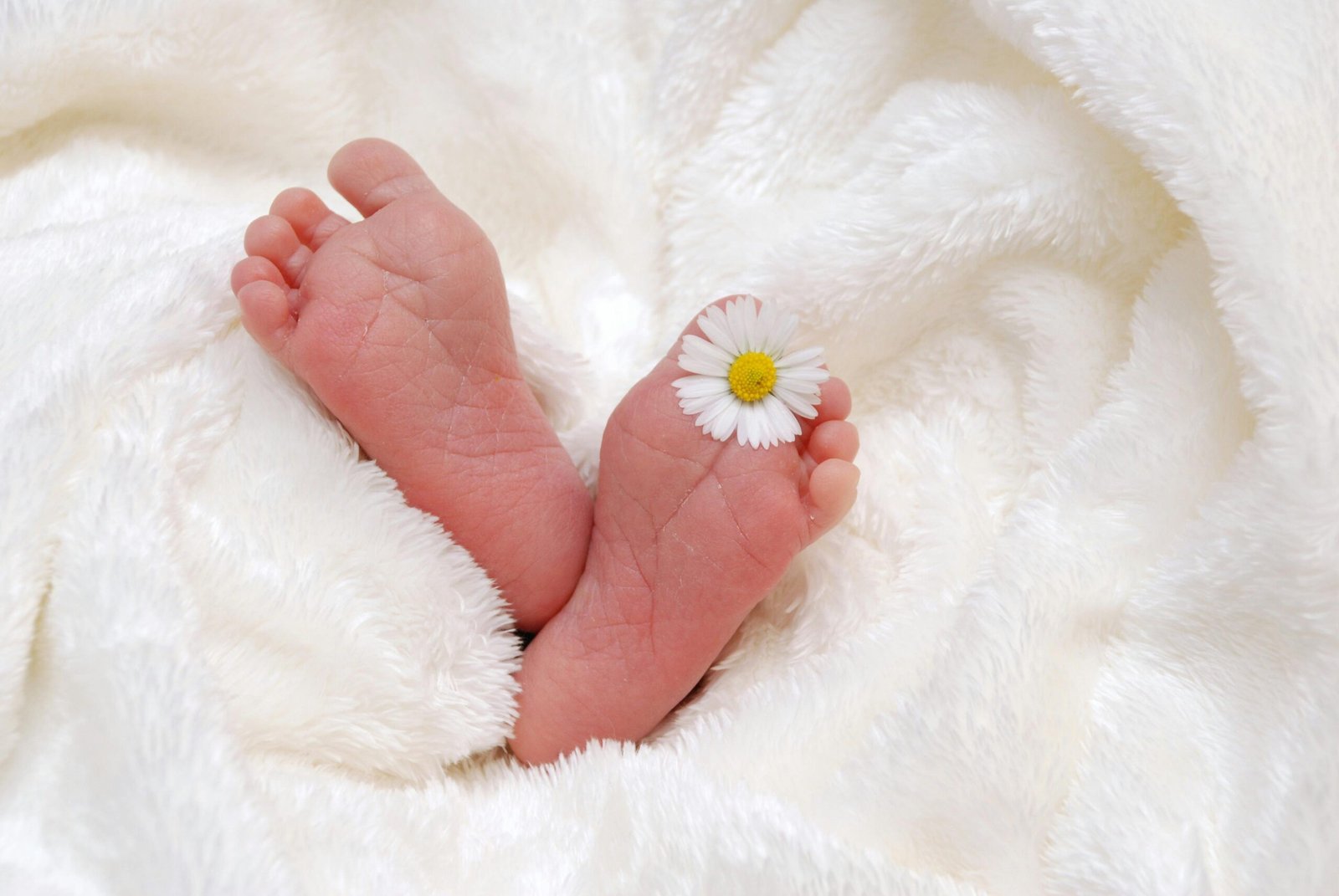 How to care for your newborn in the first 30 days: Newborn baby feet on a soft white blanket, with a small daisy resting on one foot.